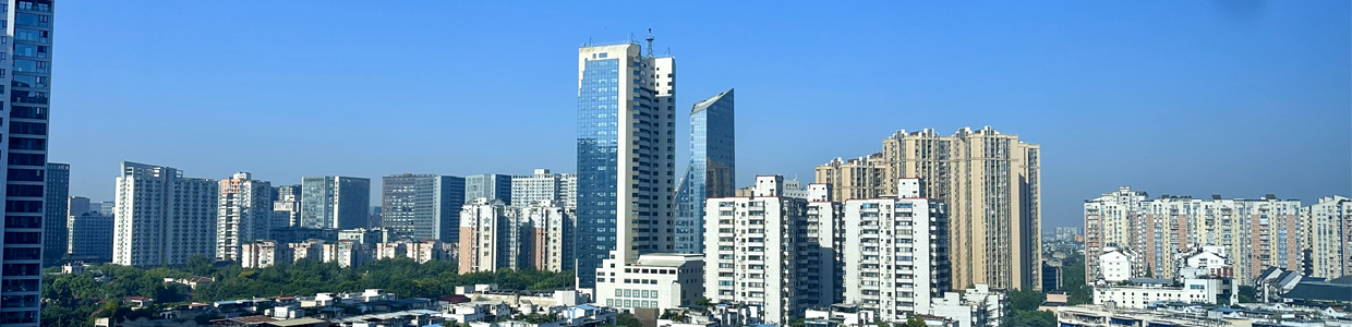 海外域名查询网